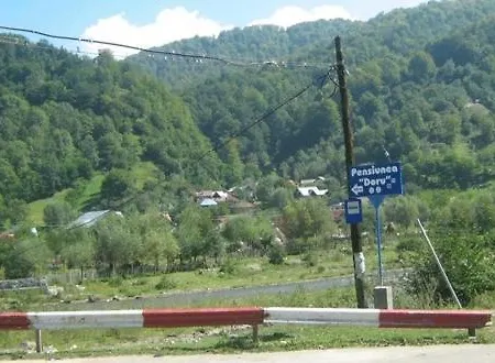 Pensiunea D O R U Arges Guest house 2*