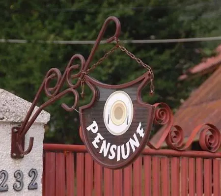 Pensiunea D O R U Arges Guest house