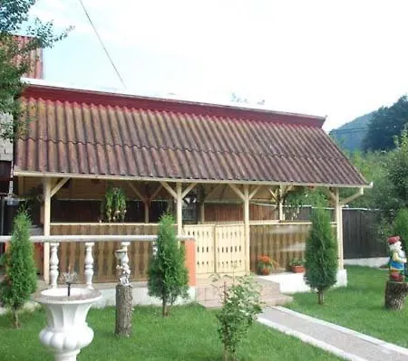 Pensiunea D O R U Arges Guest house