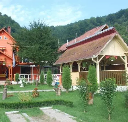 Pensiunea D O R U Arges 2* Cotenesti