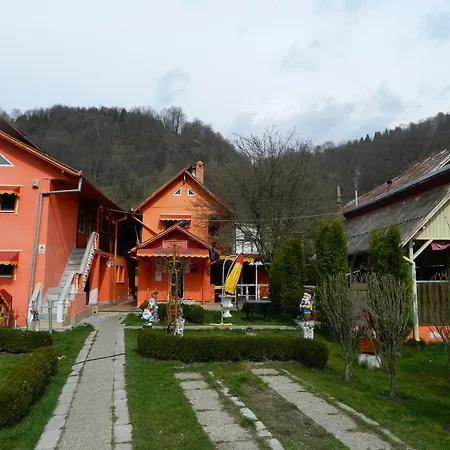 Guest house Pensiunea D O R U Arges Cotenesti