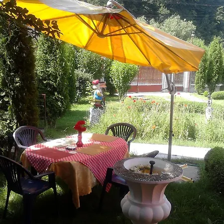 Guest house Pensiunea D O R U Arges Cotenesti