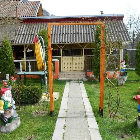 Guest house Pensiunea D O R U Arges