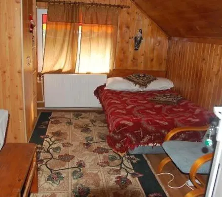 Pensiunea D O R U Arges Guest house Cotenesti