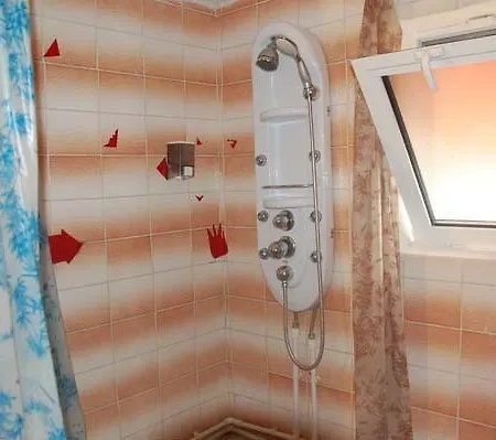 Guest house Pensiunea D O R U Arges 2*