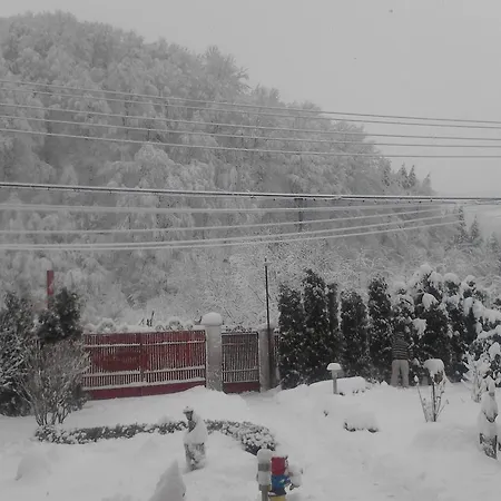 Pensiunea D O R U Arges Guest house Cotenesti