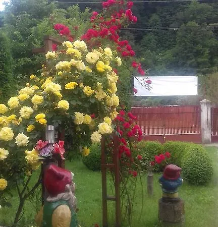 Pensiunea D O R U Arges 2*
