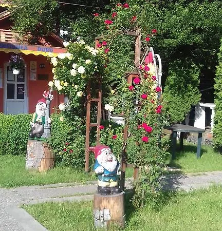 Pensiunea D O R U Arges 2* Cotenesti
