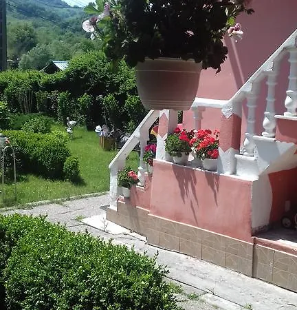 Pensiunea D O R U Arges Cotenesti