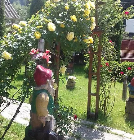 Pensiunea D O R U Arges Guest house