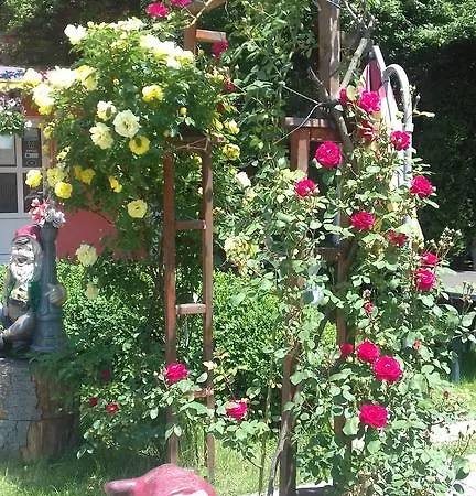 Guest house Pensiunea D O R U Arges 2*