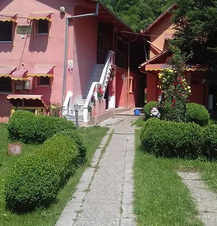 Guest house Pensiunea D O R U Arges Cotenesti