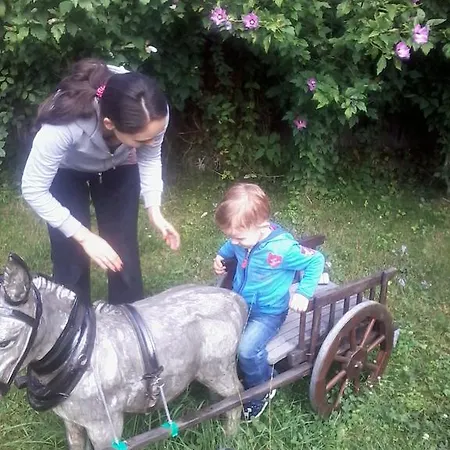 Guest house Pensiunea D O R U Arges 2*