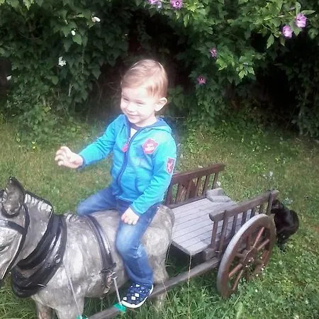 Pensiunea D O R U Arges 2*